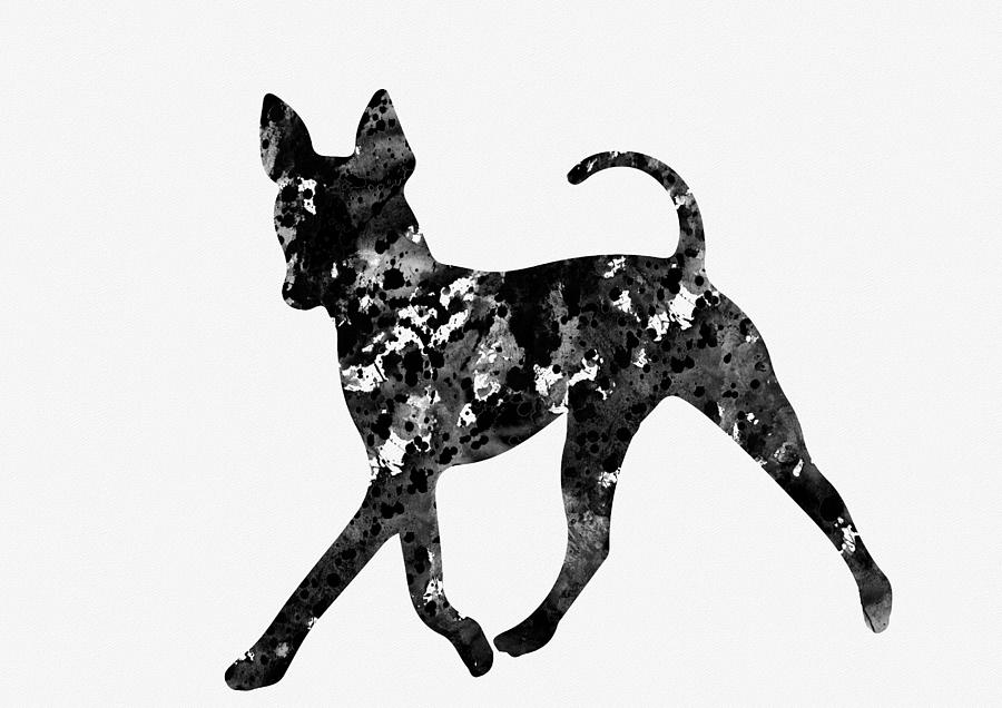 American Hairless Terrier-black 2 Digital Art By Erzebet S - Pixels