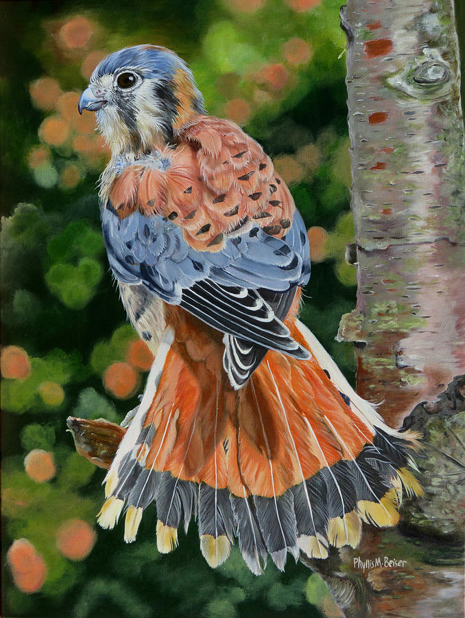 American Kestrel In My Garden Painting by Phyllis Beiser | Fine Art America