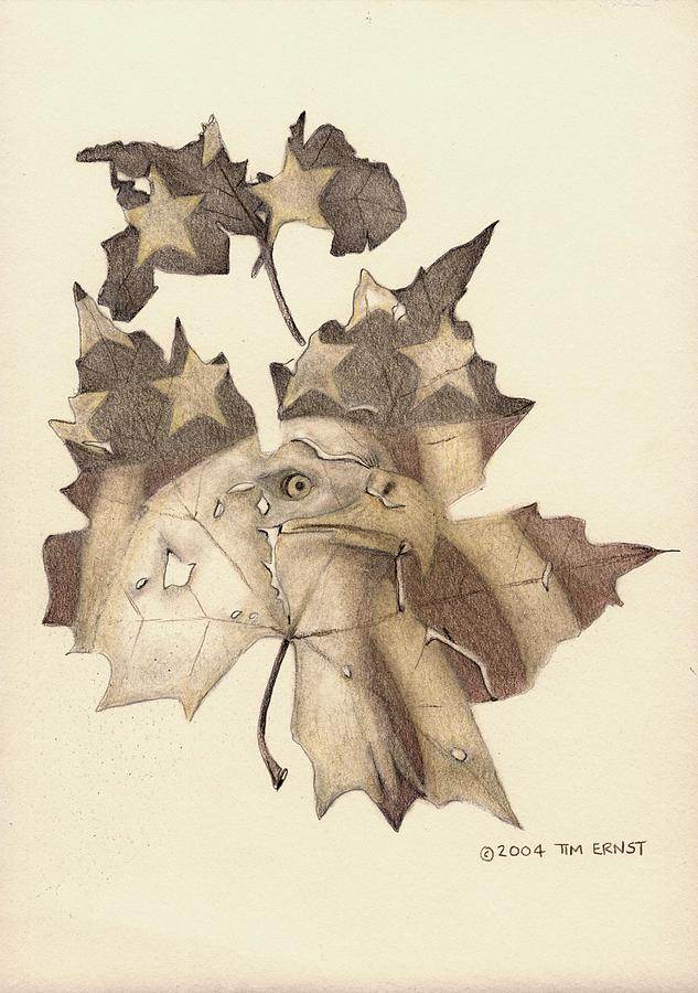 American Leaf Drawing by Tim Ernst