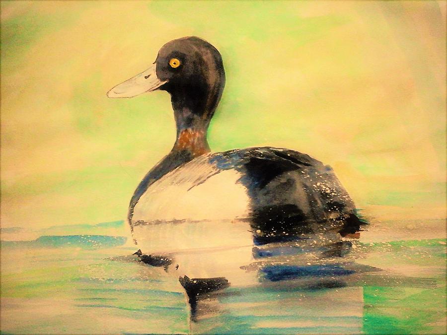American lesser scaup Painting by Khalid Saeed