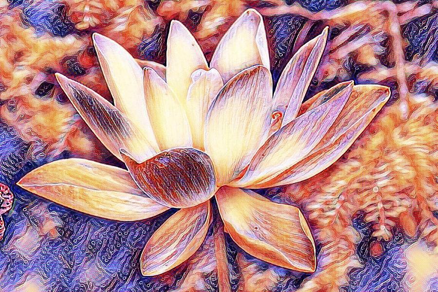 American Lotus Lily Art Photograph