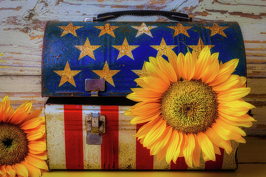 American Lunchbox With Sunflower Photograph by Garry Gay