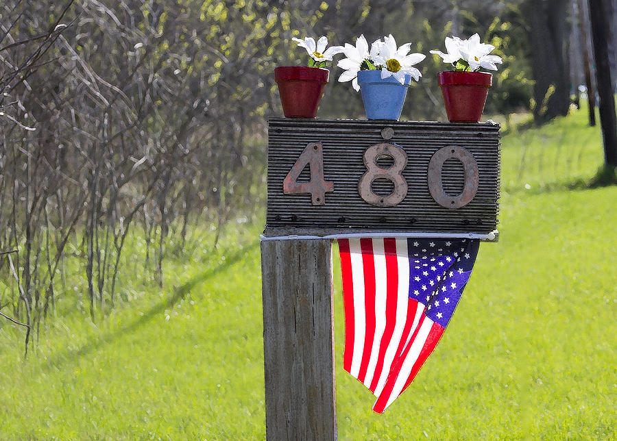 Flower Photograph - American Mailbox by Tammy Chesney