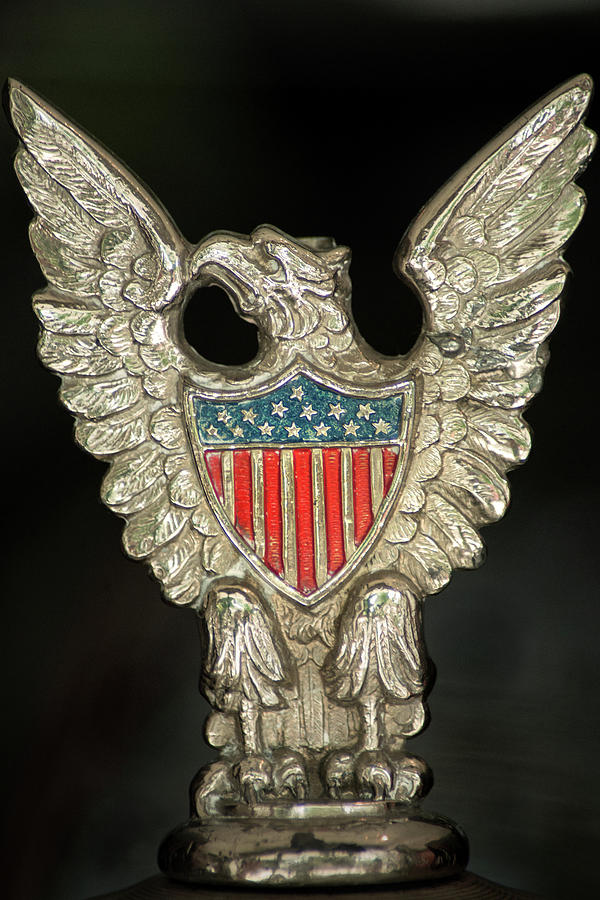 American Metal Eagle Photograph by Don Johnson