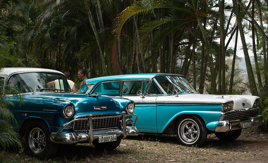 American Muscle in the Jungle Photograph by Art Atkins