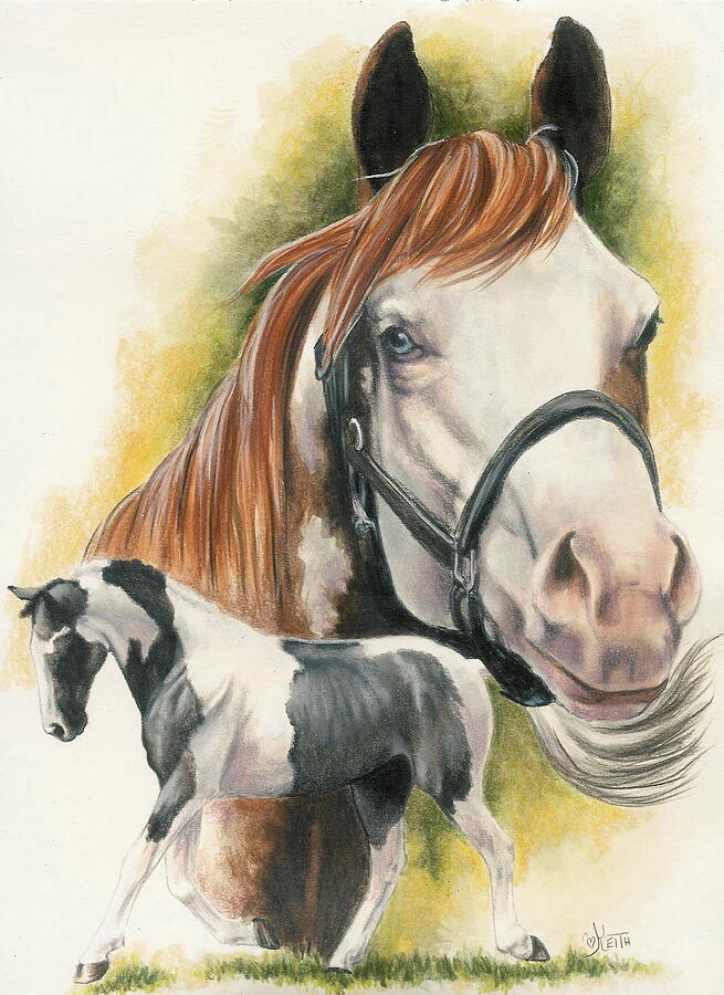 Horse Mixed Media - American Paint by Barbara Keith