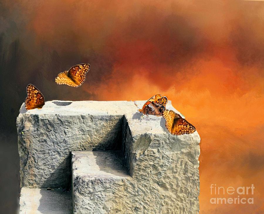 American Painted Lady Butterfly Photograph by Janette Boyd
