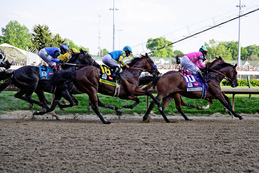 American Pharoah 4 Photograph by Lone Dakota Photography Fine Art America