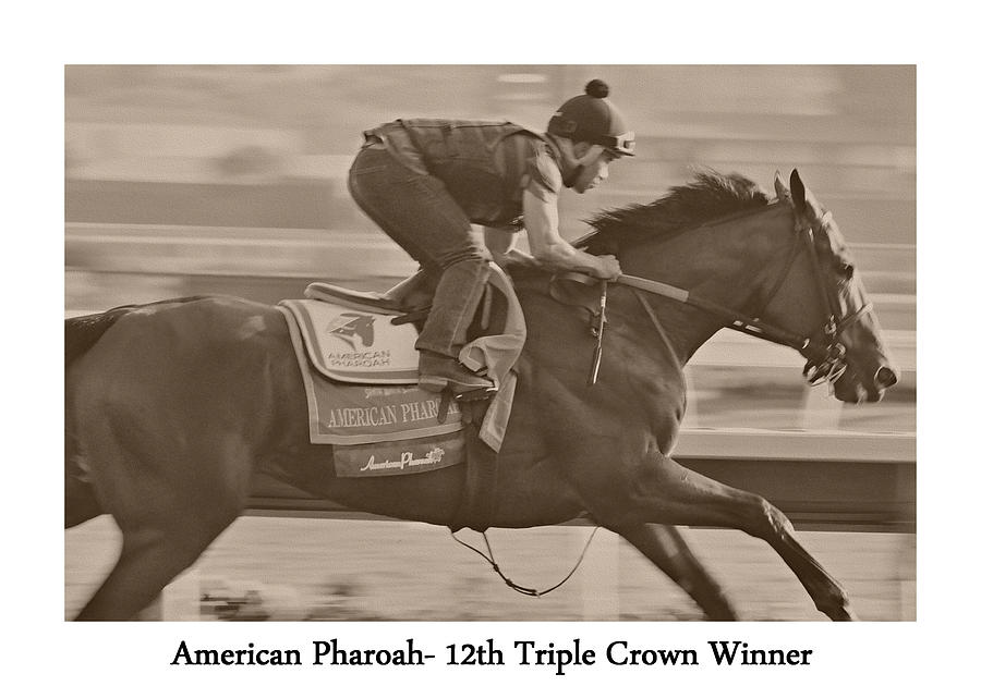 Boot Photograph - American Pharoah by See My  Photos