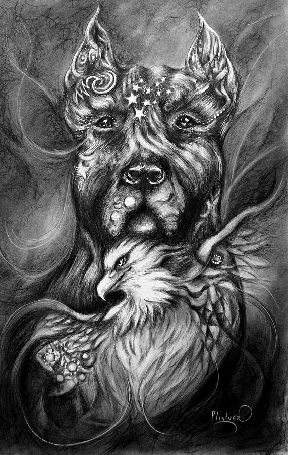 American Pitbull Drawing by Patricia Lintner