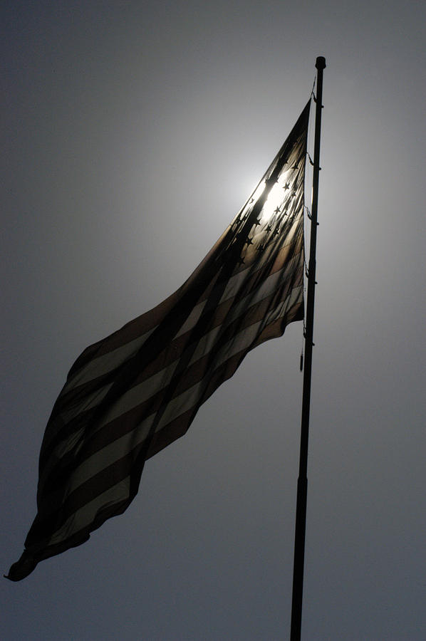 American Pride - Flag Photograph by DArcy Evans