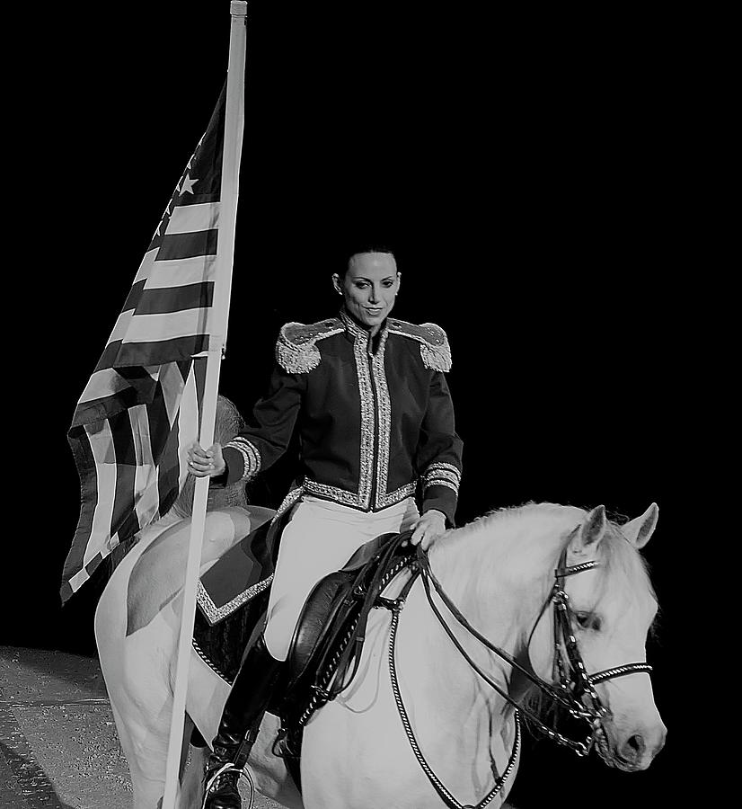 American Pride Horse Photograph by Vijay Sharon Govender