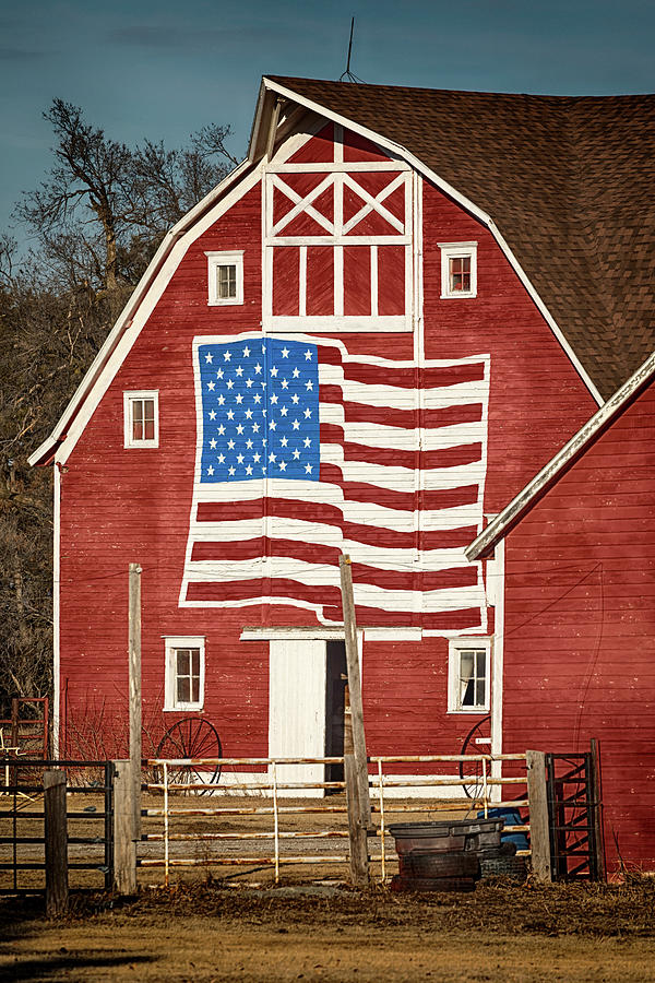 American Pride Photograph by Susan Rissi Tregoning