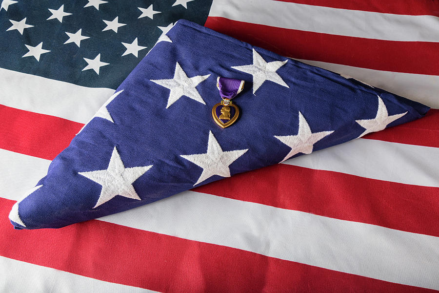 American Purple Heart Hero Photograph by James BO Insogna