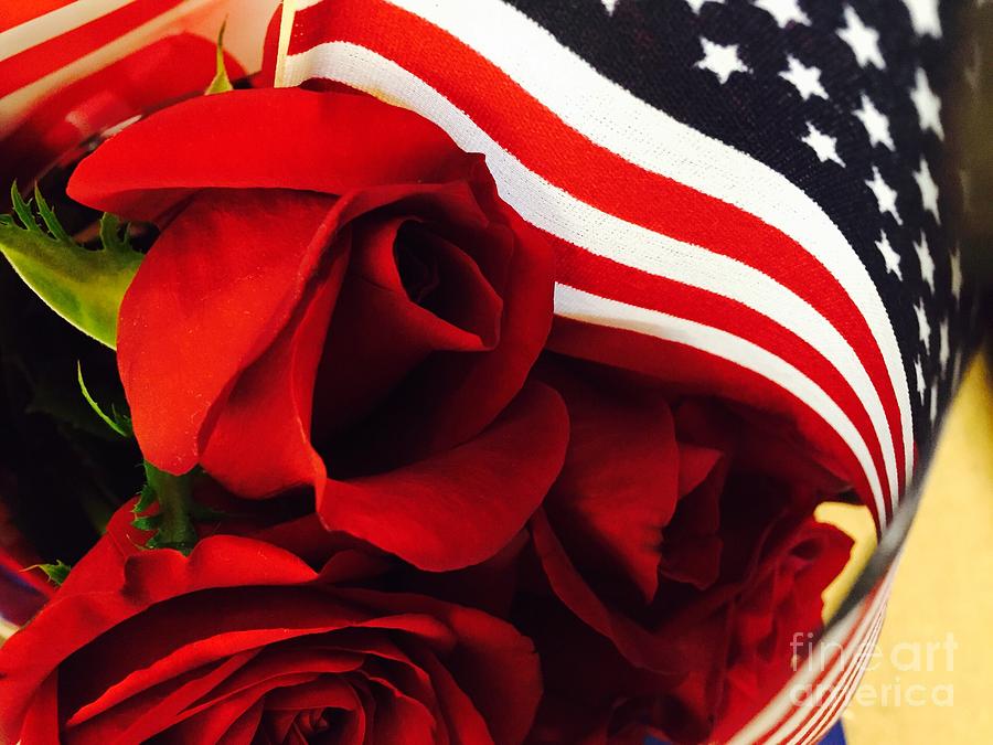 American Red Roses Photograph