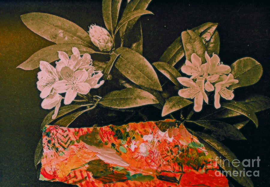 American Rhododendron Mixed Media by Nancy Kane Chapman