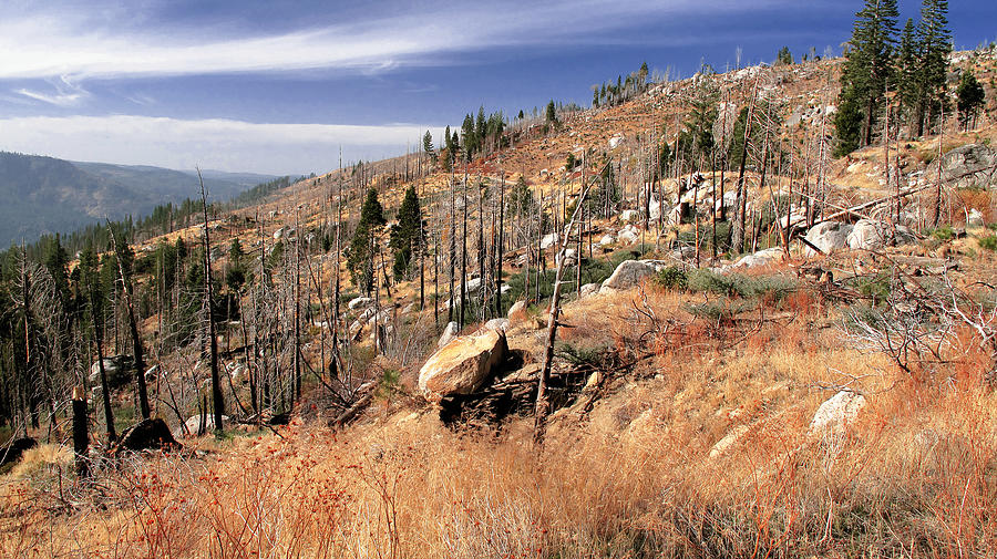 American Ridge Photograph by Larry Darnell