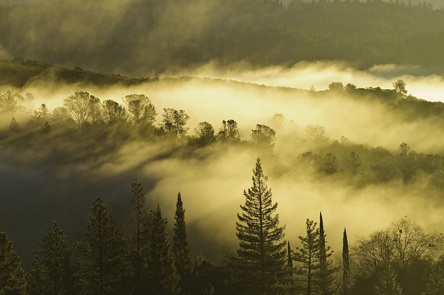 American River Canyon in the Fog Photograph by Sherri Meyer