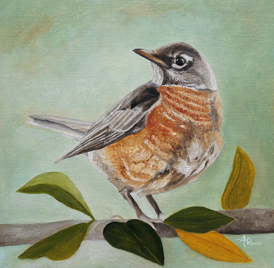 American Robin Painting - American Robin by Angeles M Pomata