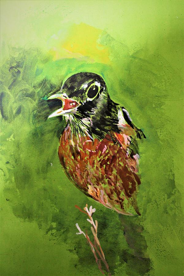 American Robin Painting by Khalid Saeed