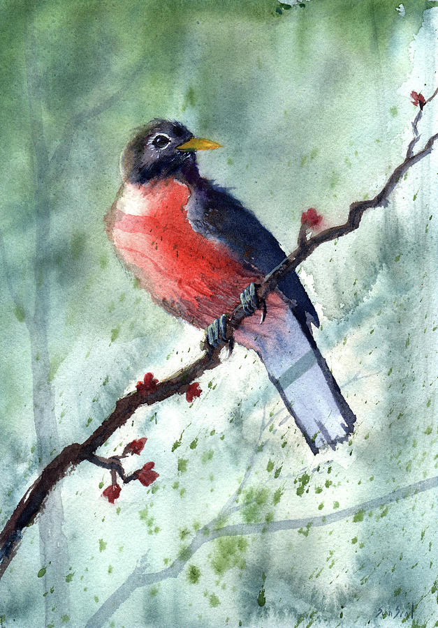 American Robin Painting by Sean Seal