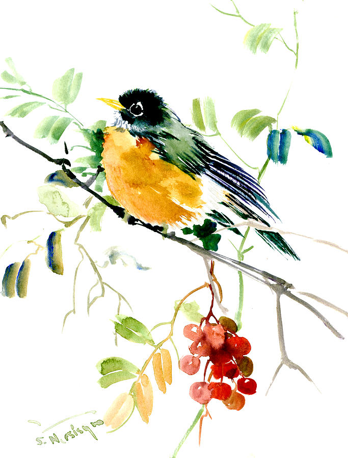 Robin Painting - American Robin by Suren Nersisyan