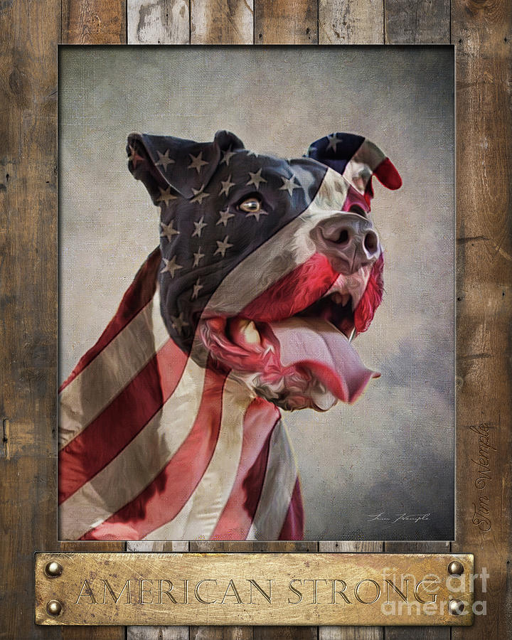 American Strong Flag Poster Digital Art by Tim Wemple