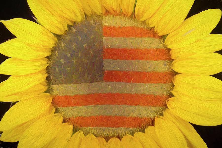 American Sunshine Photograph by James BO Insogna