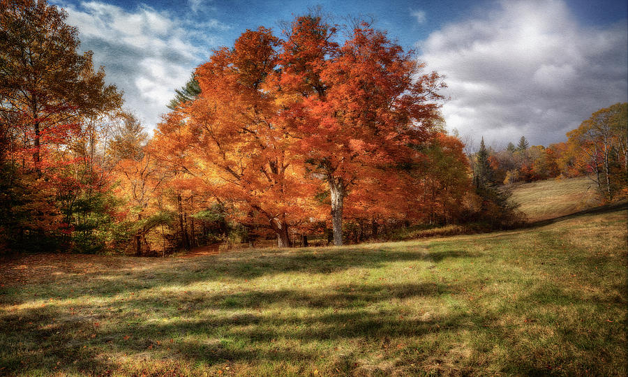 American Textures #52 Photograph by David Palmer | Pixels