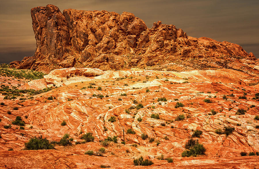 American West - Valley of Fire 9801-152 Photograph by Deidre Elzer-Lento