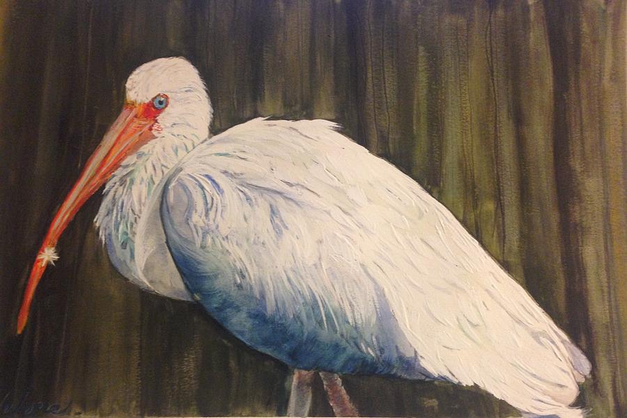 Ibis Painting - American White Ibis by Helene Thomason