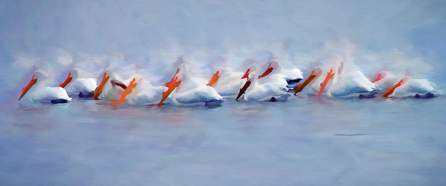 American White Pelican Digital Art by Ronald Bolokofsky