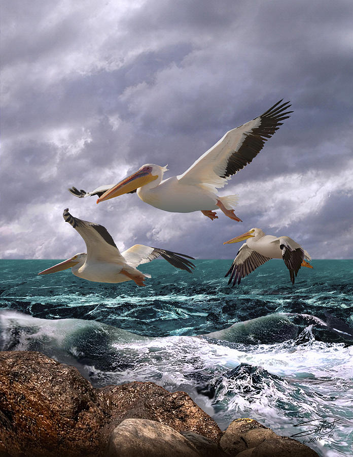 American White Pelicans Painting by M Spadecaller