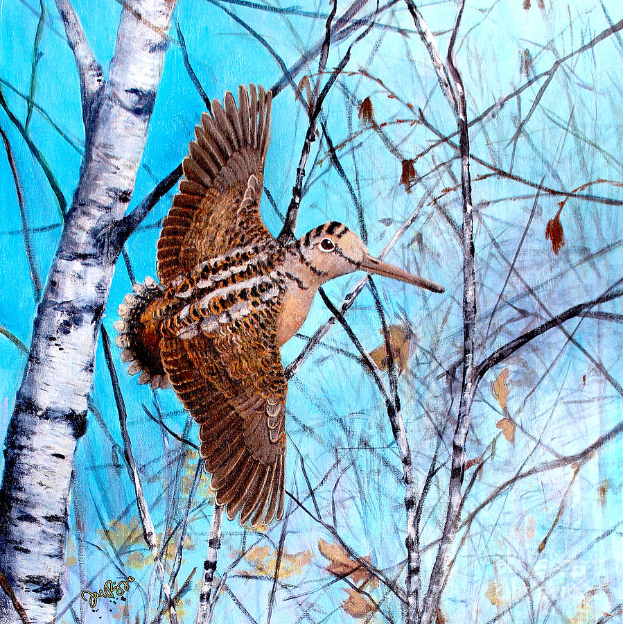 American Woodcock Painting by Joe Rizzo