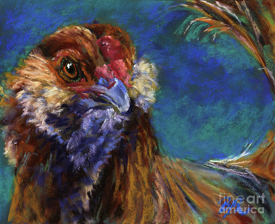 Americana Chicken Painting By Brandi Reyna,Turtle Shell Drawing