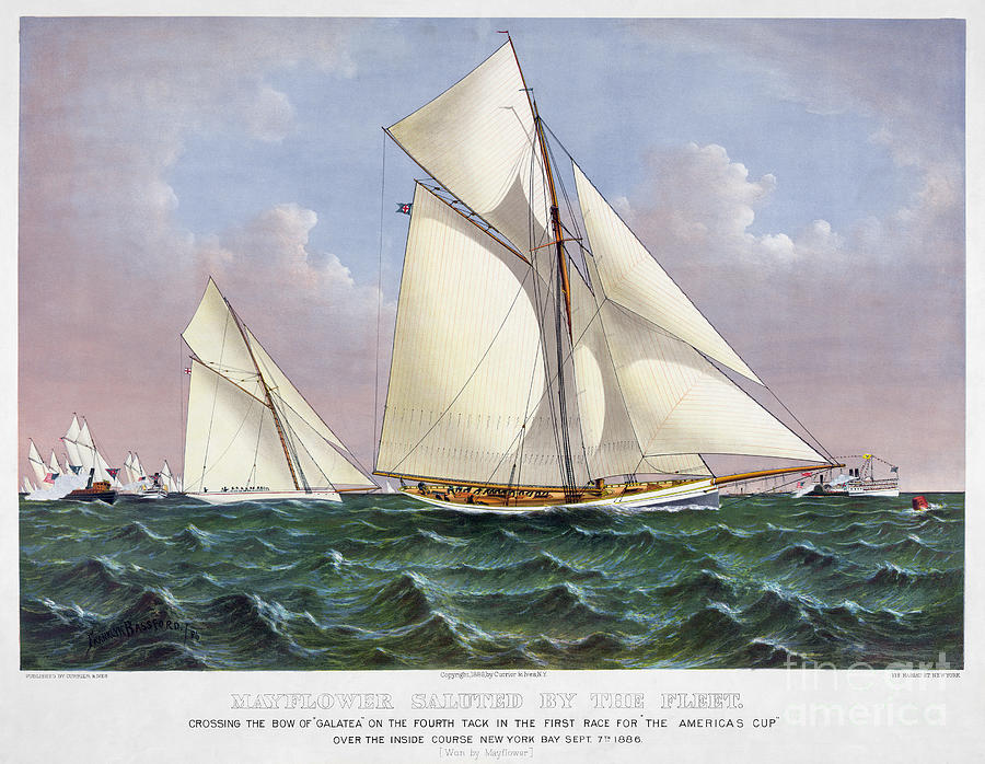 Americas Cup, 1886 Drawing by Granger