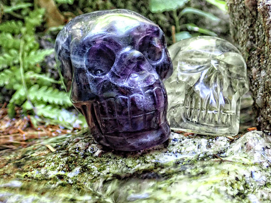 Amethyst And Citrine Crystal Skulls Soaking Up The Energy Of Castle Crag Photograph