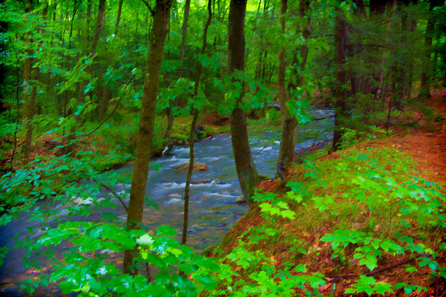 Amethyst Brook 3 in Amherst MA Photograph by Richard Goldman