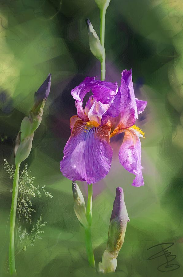 Amethyst Iris 2 Digital Art by Debra Baldwin