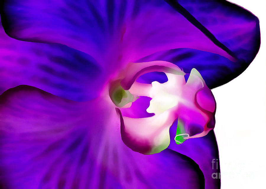 Orchid Digital Art - Amethyst Orchid by Krissy Katsimbras