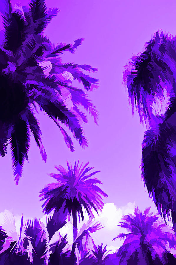 Amethyst Palms in the Sky Photograph by Aimee L Maher ALM GALLERY