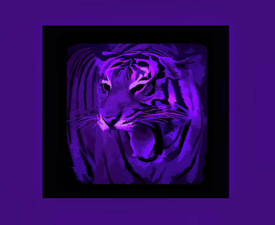 Amethyst Portrait of a Tiger Photograph by Aimee L Maher ALM GALLERY