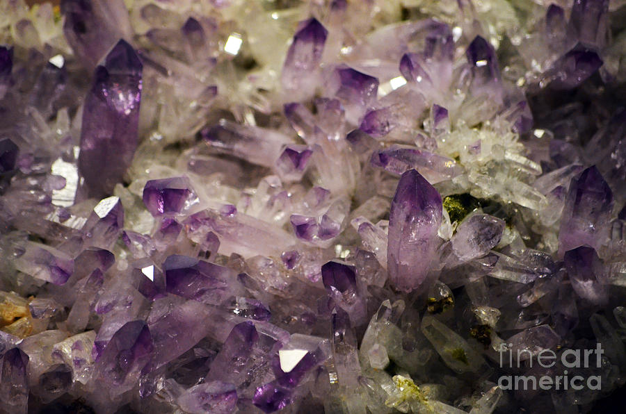 Amethyst Purple Crystals Macro Photograph by Shawn OBrien