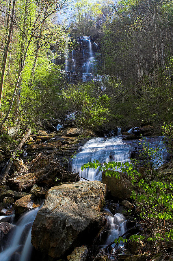Amicalola Falls Photograph