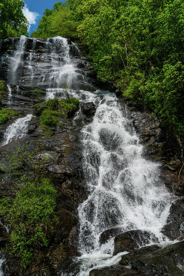 Amicalola Falls Waterfall Georgia Photograph by Lawrence S Richardson Jr