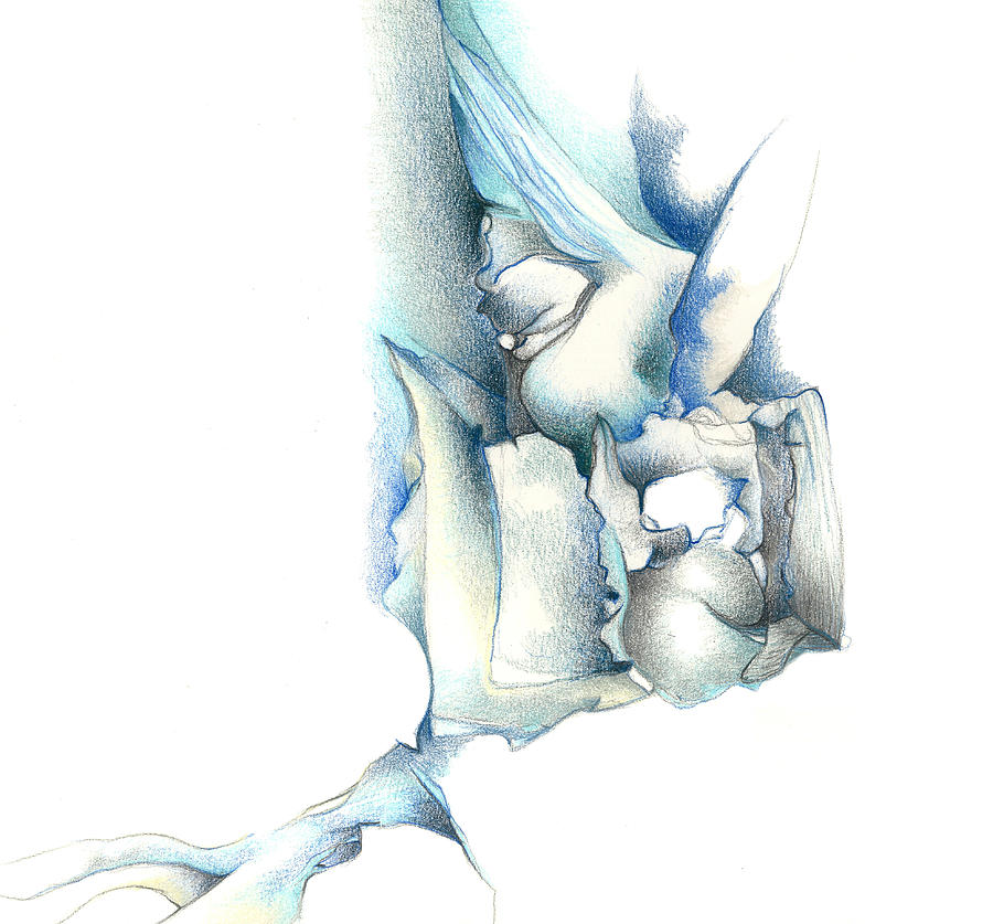 Amico fragile Drawing by Bodhi Pixels