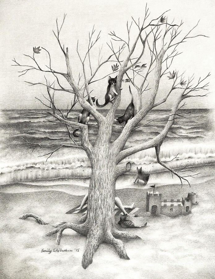Cat Drawing - Amidst my Storm by Emily Wickerham