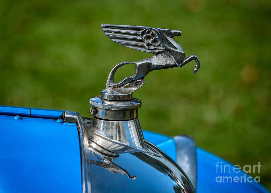 Amilcar Pegasus Emblem Photograph by Adrian Evans