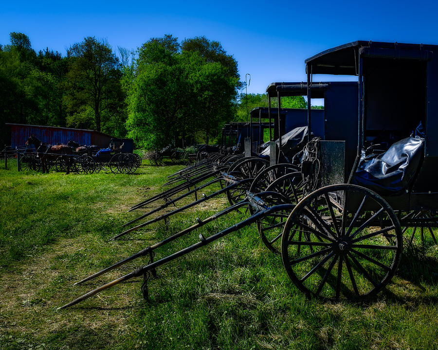 Horse Photograph - Amish Auction Day by Chris Bordeleau