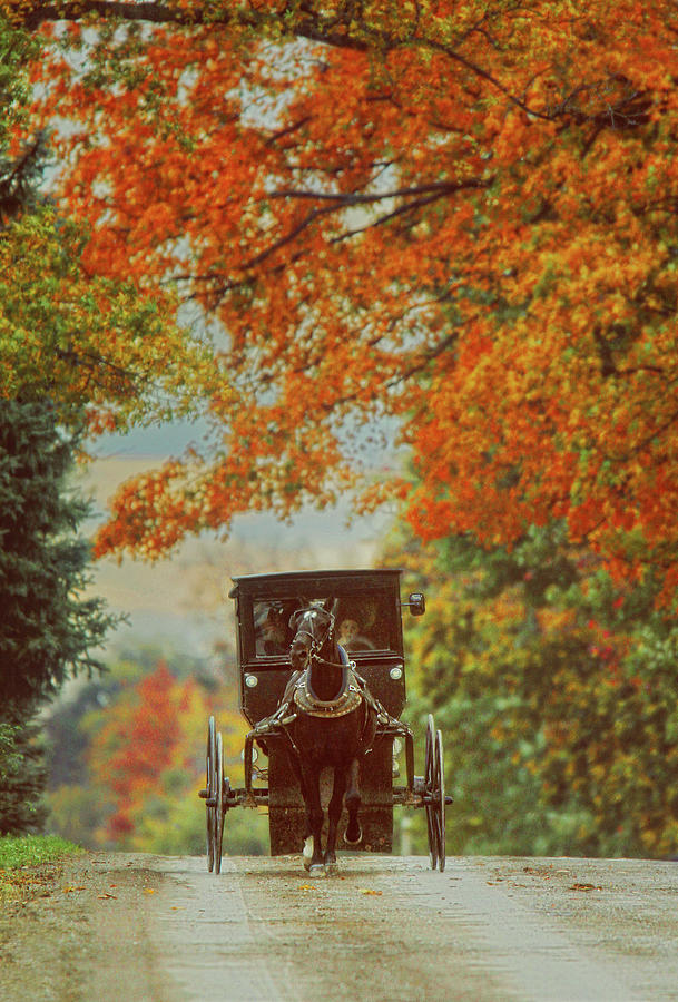 Amish Autumn Photograph by Carrie Ann Grippo-Pike